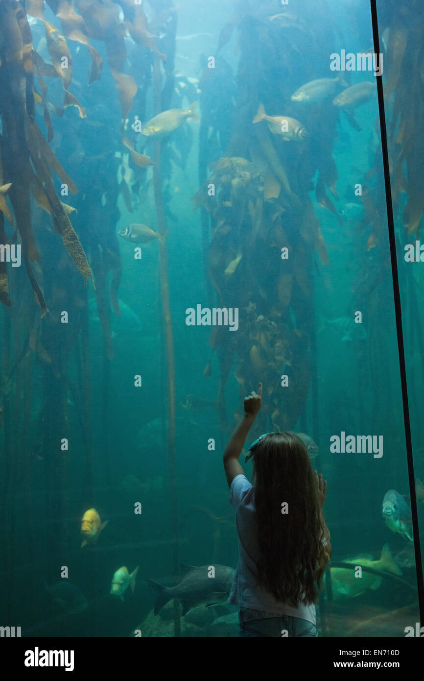 Little girl looking at fish tank Banque D'Images