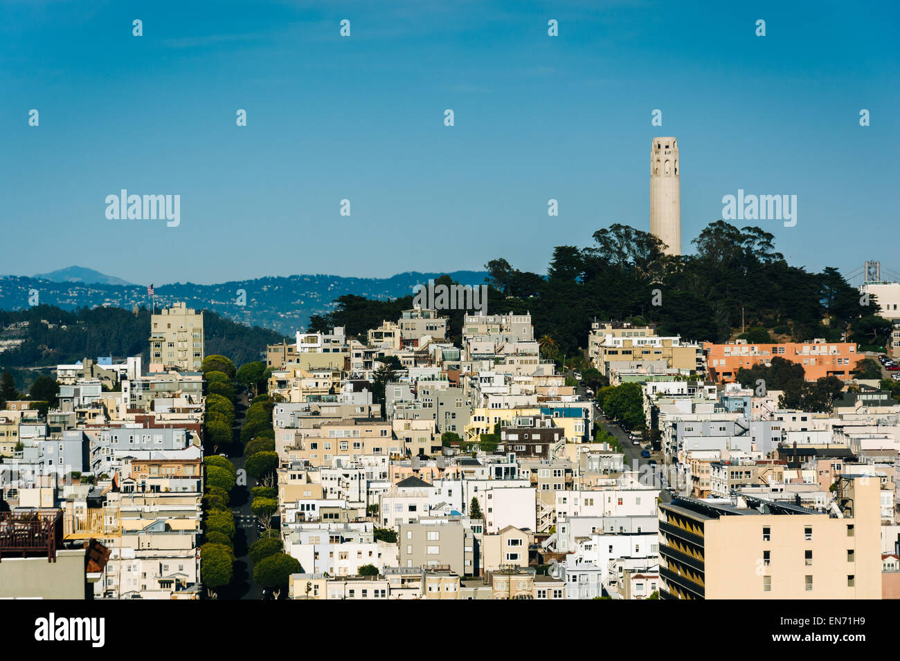 Vue de la Coit Tower de Russian Hill, à San Francisco, Californie. Banque D'Images