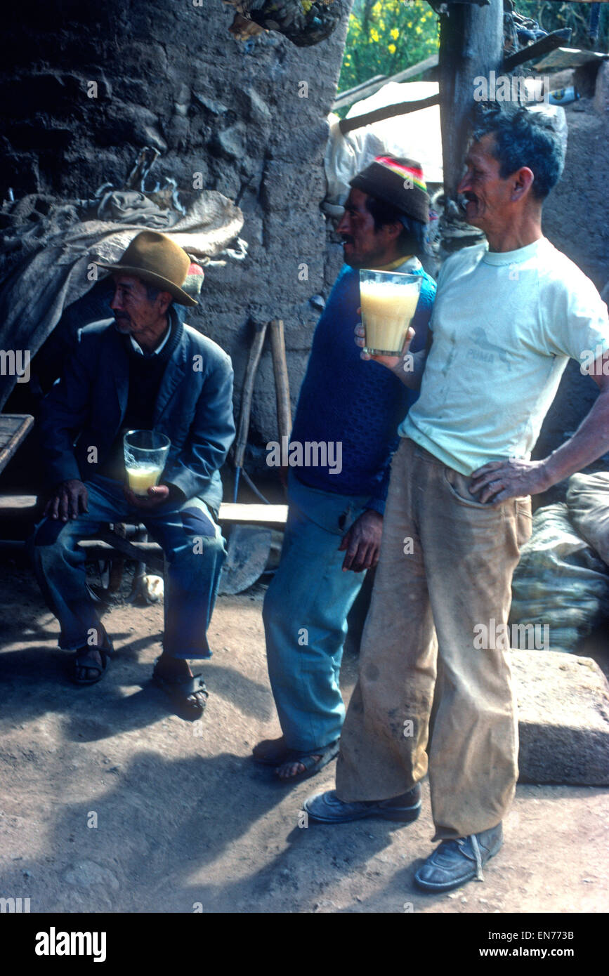 Boire de la bière de maïs 'Chicha' au Pérou Banque D'Images