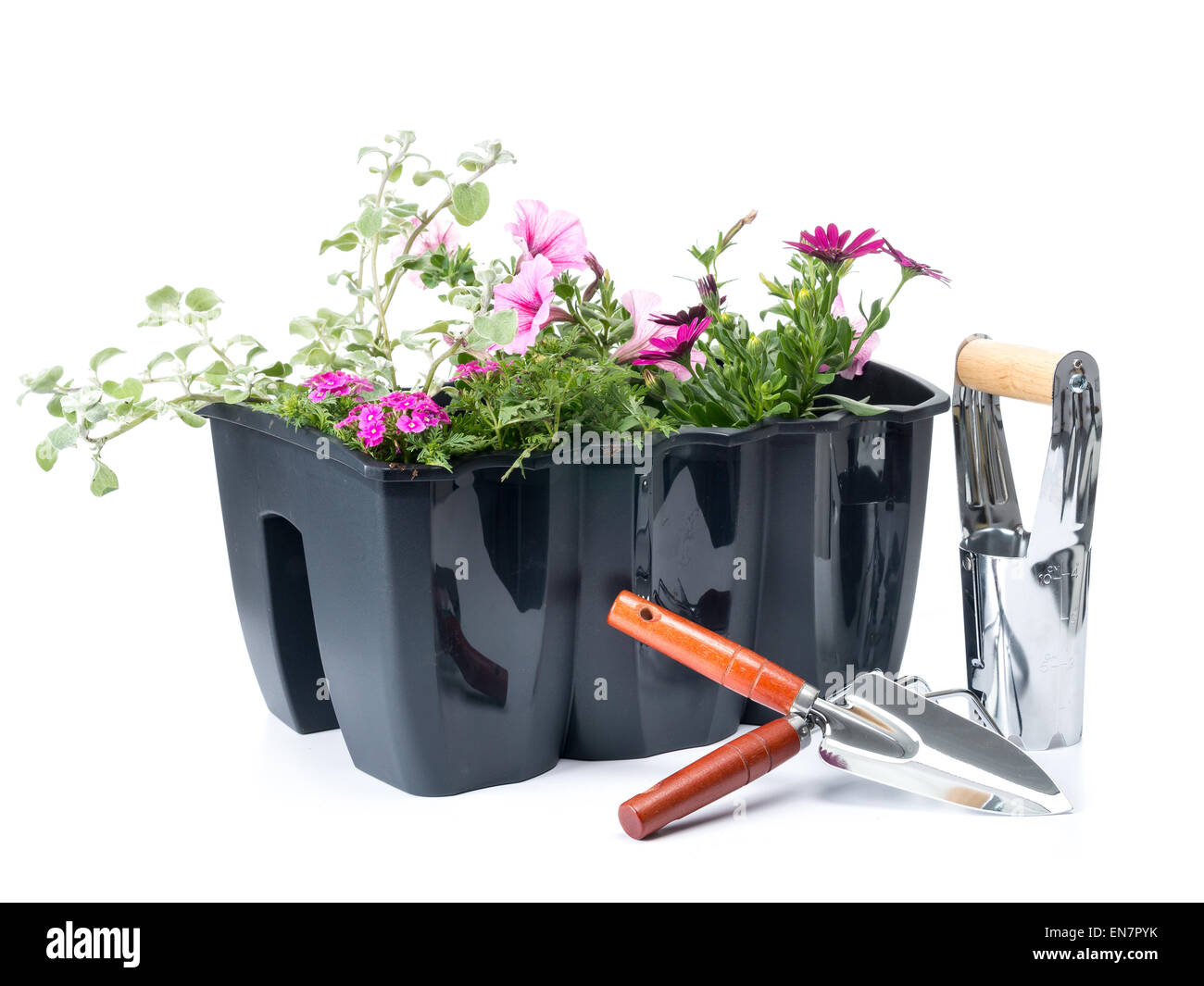 Boîte à fleurs en plastique avec des fleurs fraîches et des outils à main de jardinage tourné sur fond blanc Banque D'Images