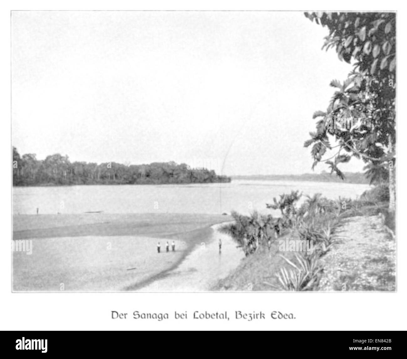 WOHLTMANN(1904) p009 Der Sanaga bei Lobetal, Bezirk Edea Banque D'Images