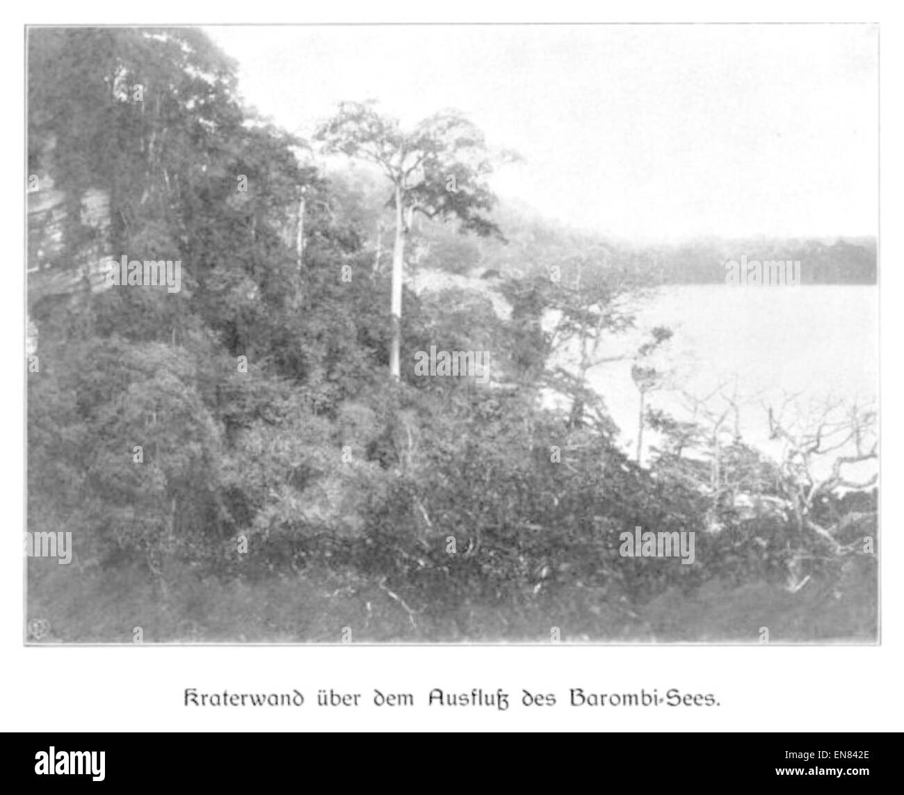 Cette illustration de WOHLTMANN(1904) représente le mur du cratère au-dessus de la sortie du lac Barombi, situé au Cameroun. L'image montre les caractéristiques volcaniques et le paysage naturel entourant le lac. Banque D'Images