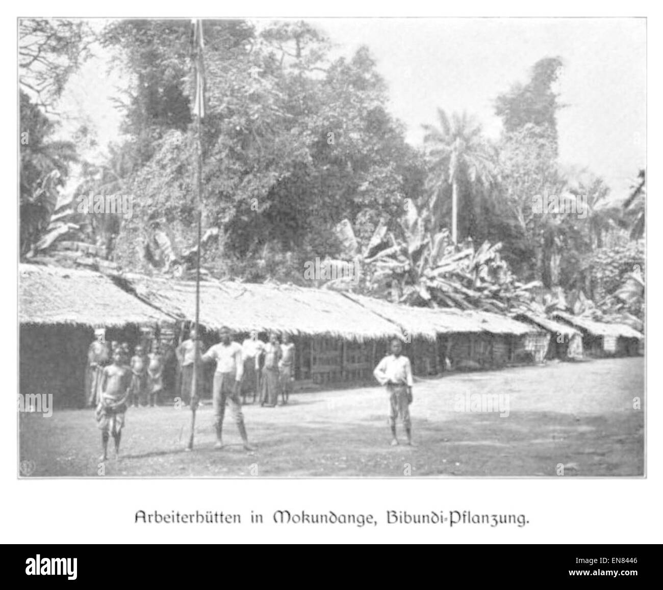 Cette illustration de 1904 de Wohltmann montre des cabanes de travailleurs à Mokundange, située dans la plantation Bibundi. L'image représente l'environnement de travail des plantations coloniales du début du XXe siècle en Afrique. Banque D'Images