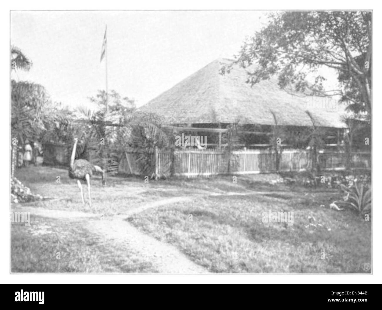 WOHLTMANN(1904) p050 Togo, Gare la plus MisahC3B6il Banque D'Images