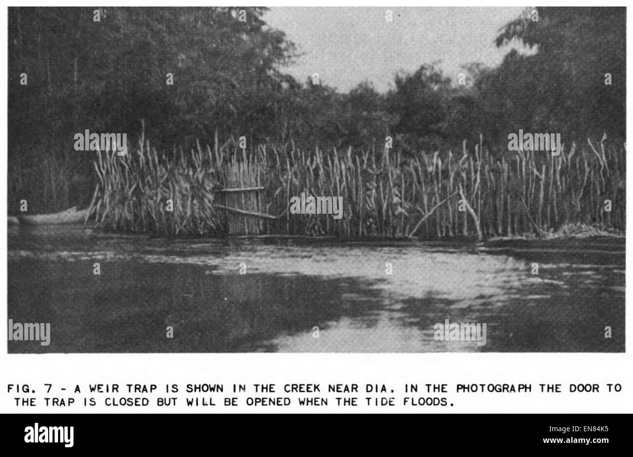 (1956) au Libéria Fisherie Fig.07 Banque D'Images