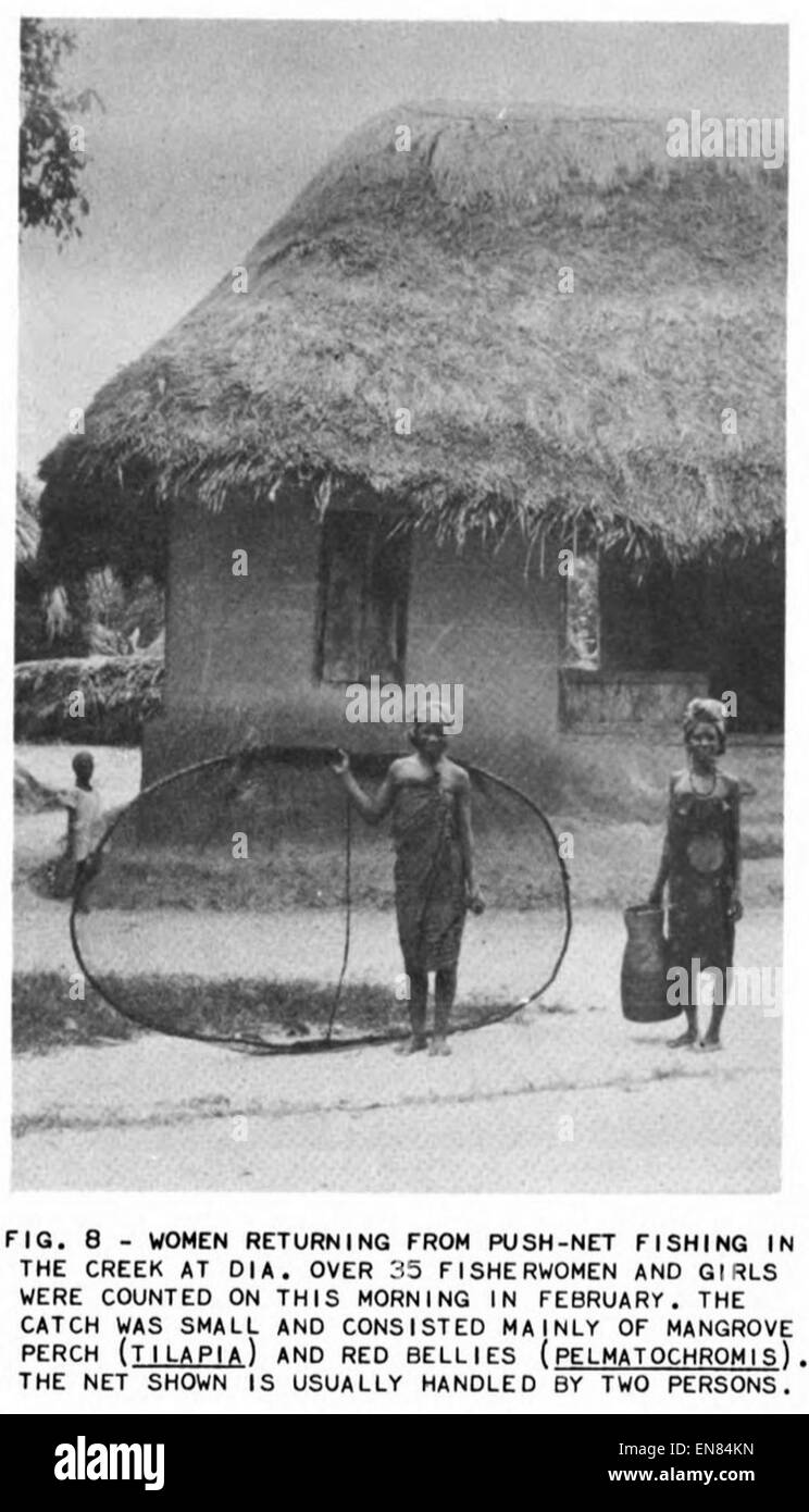 (1956) au Libéria Fisherie Fig.08 Banque D'Images
