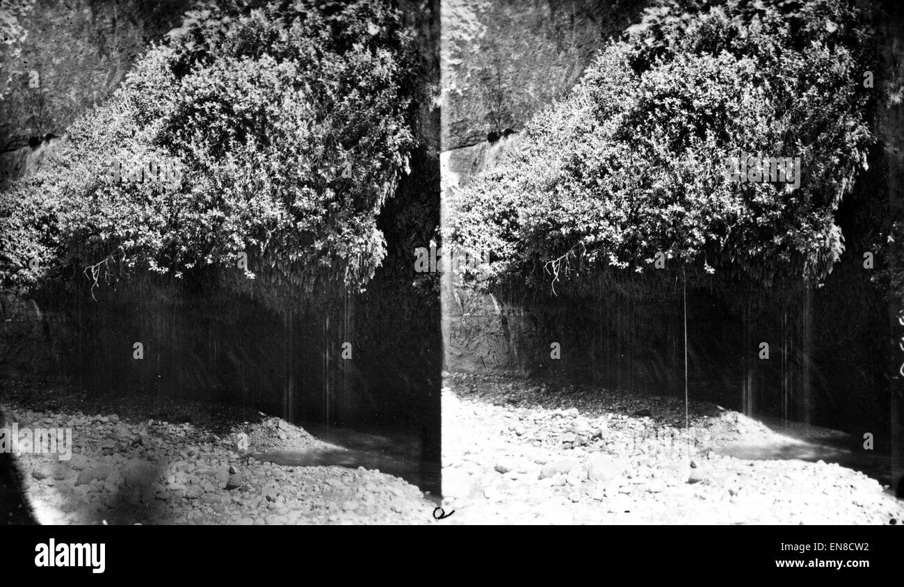 Showerbath Spring est situé dans Kanab Canyon, à environ trois à quatre miles au-dessus du canyon principal, connu pour son débit d'eau naturel et le paysage environnant. Banque D'Images