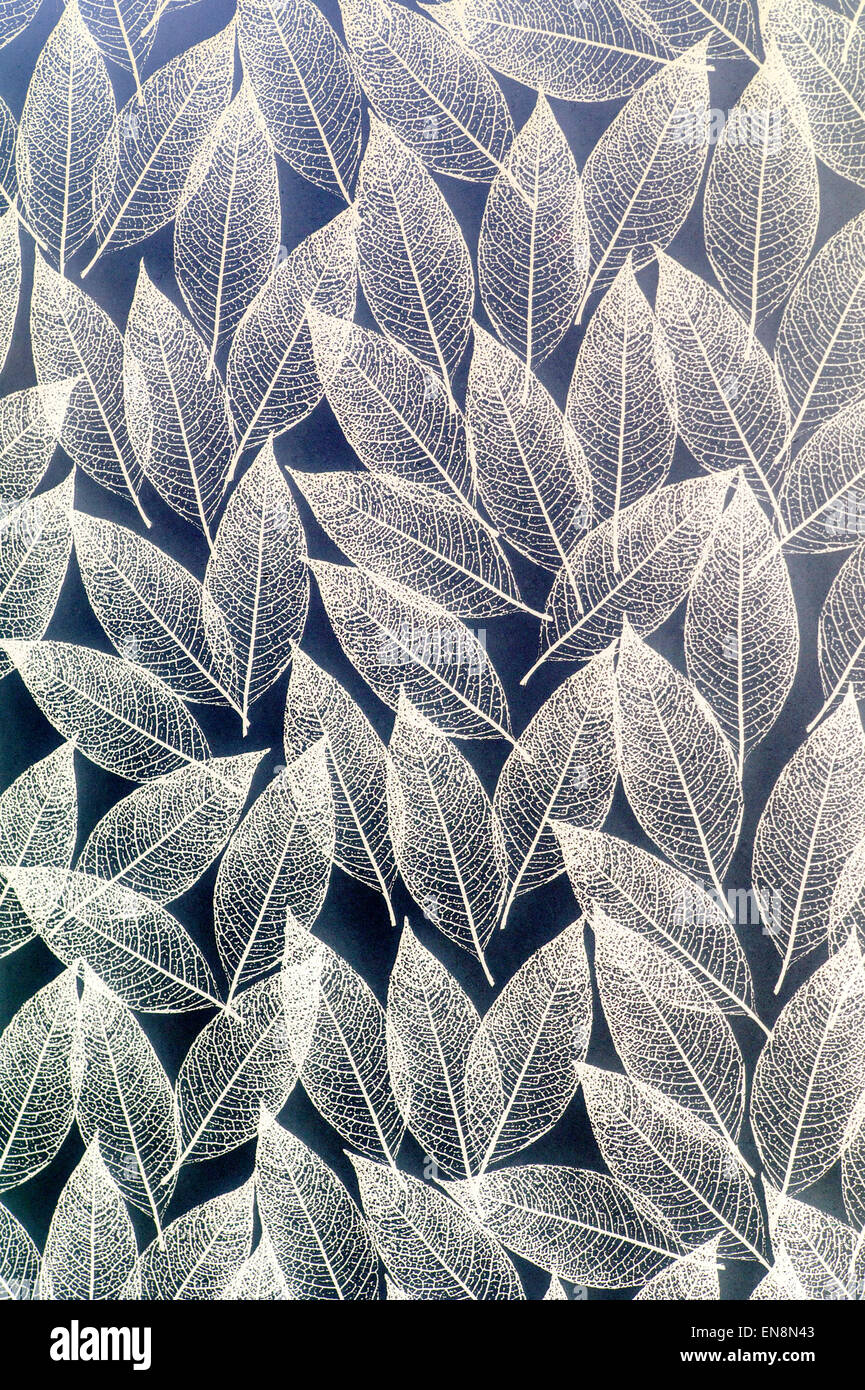 Motif de feuilles sur un film de mylar dépoli fenêtre Salle de bains écran couvercle Banque D'Images