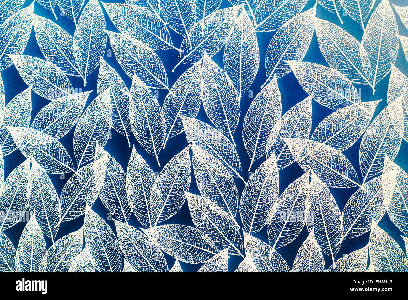Motif de feuilles sur un film de mylar dépoli fenêtre Salle de bains écran couvercle Banque D'Images
