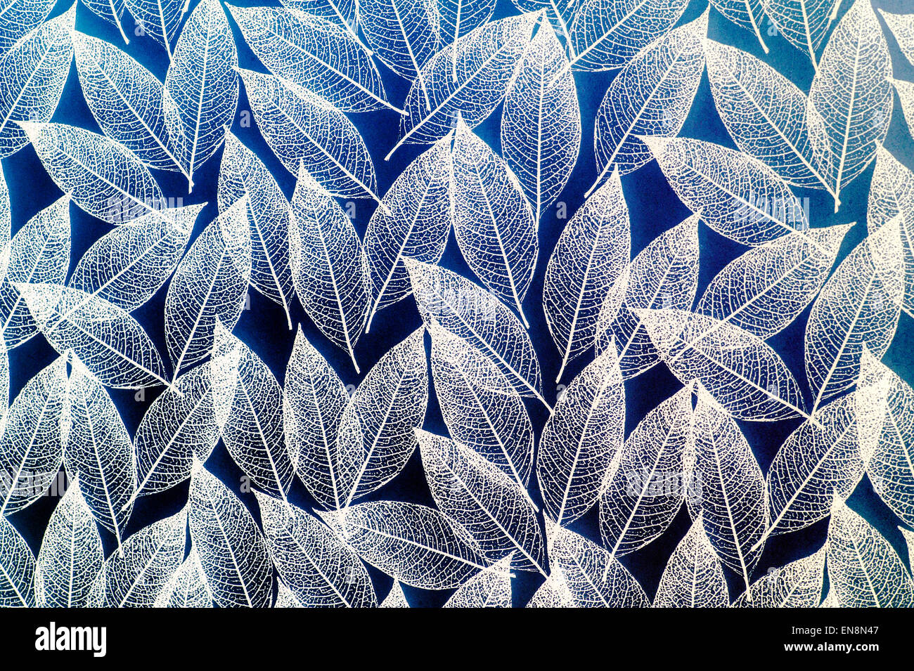Motif de feuilles sur un film de mylar dépoli fenêtre Salle de bains écran couvercle Banque D'Images