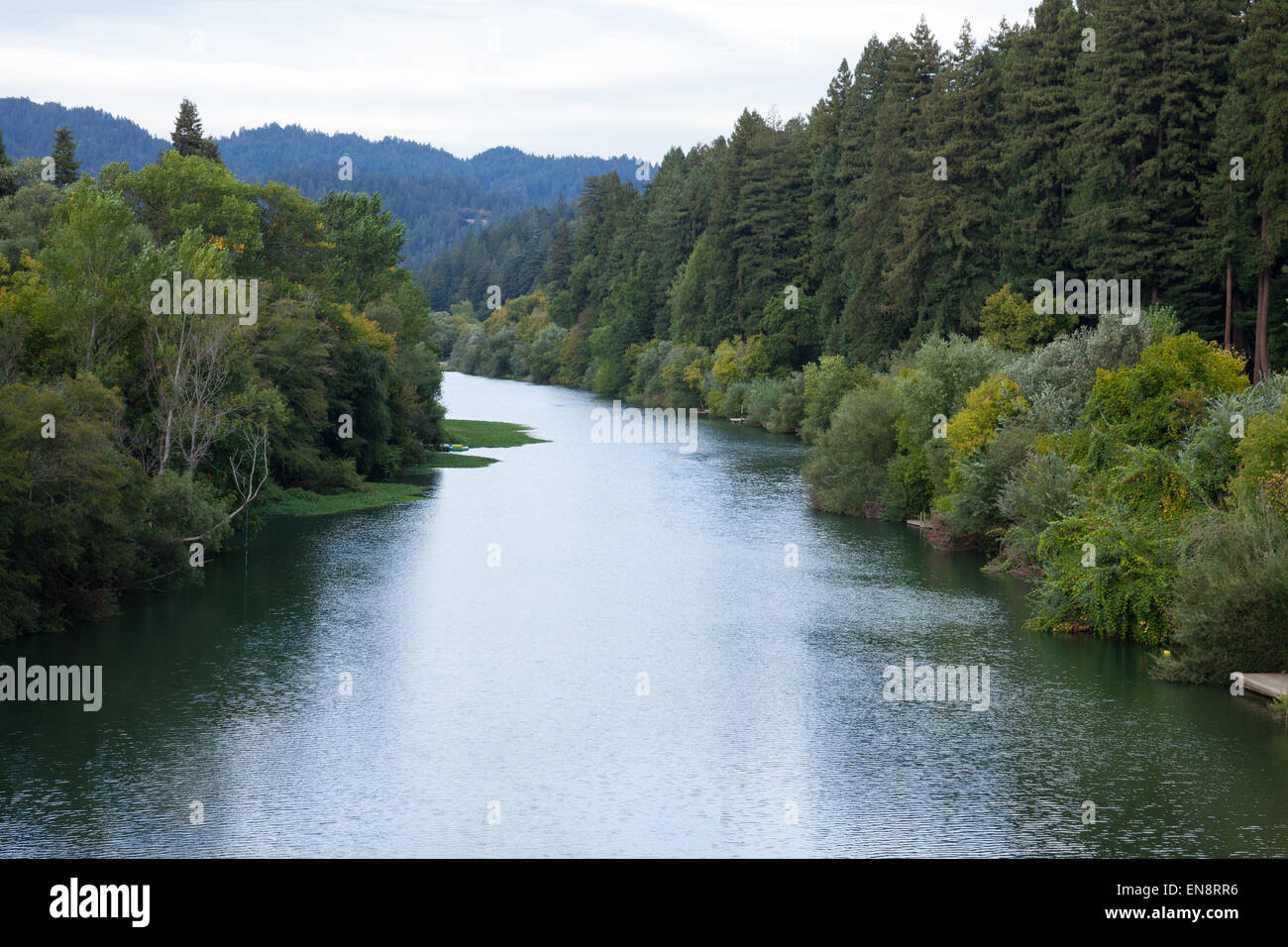 Une vue de la rivière russe près de Guernville en Californie du Nord. Banque D'Images