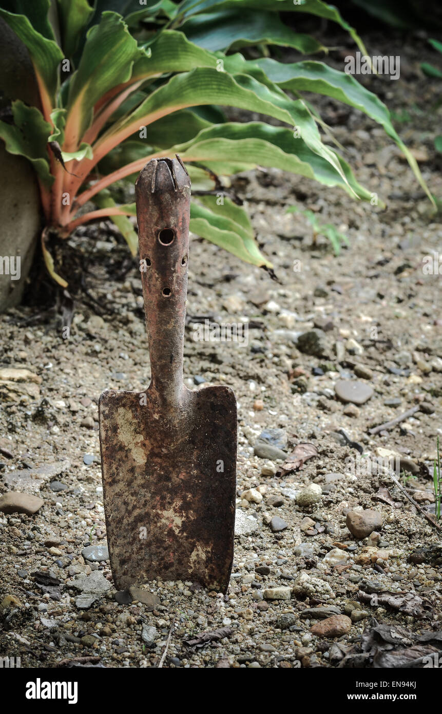 Outils de jardin rouillée dans la lumière sombre Banque D'Images