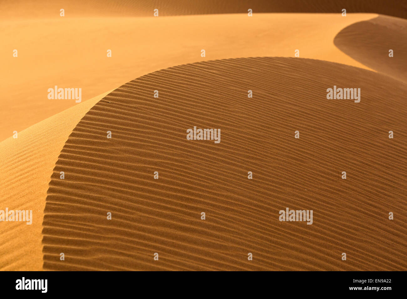 Dunes de sable, de l'Erg Chegaga. Désert du Sahara. Le Maroc. L'Afrique. Banque D'Images
