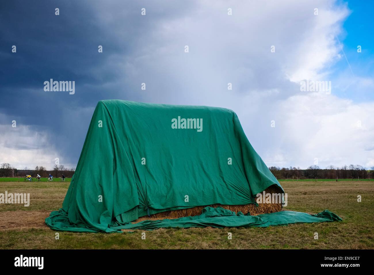Couverts botte de paille sur un pré, Brandenburg, Allemagne Banque D'Images