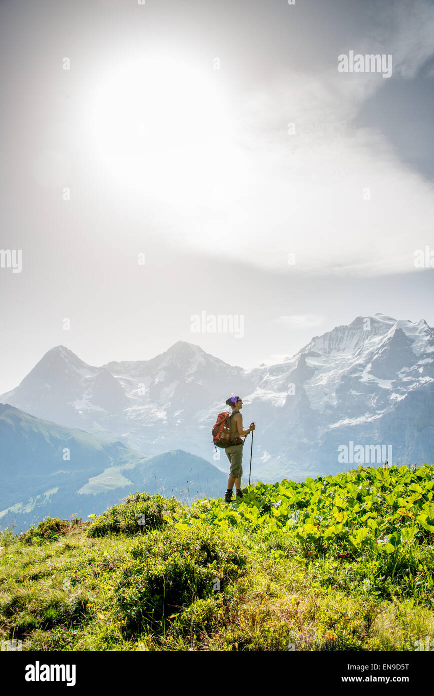 La randonnée dans les Alpes Bernoises Banque D'Images