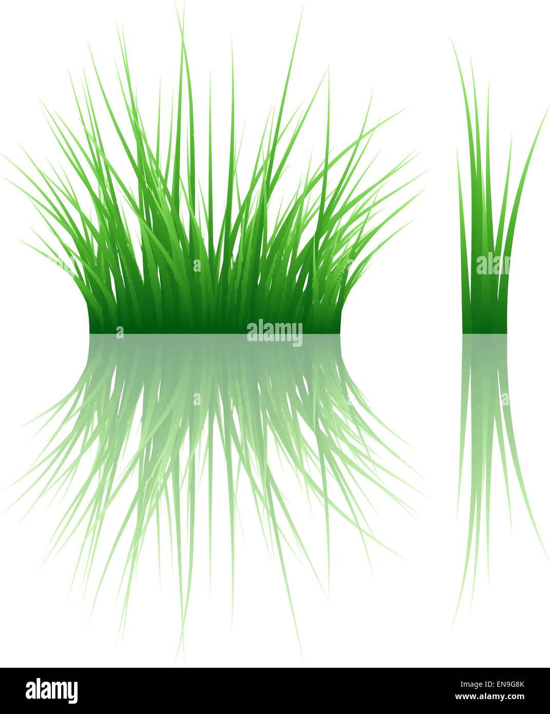 Motif herbe vecteur reflété. Vector illustration Illustration de Vecteur