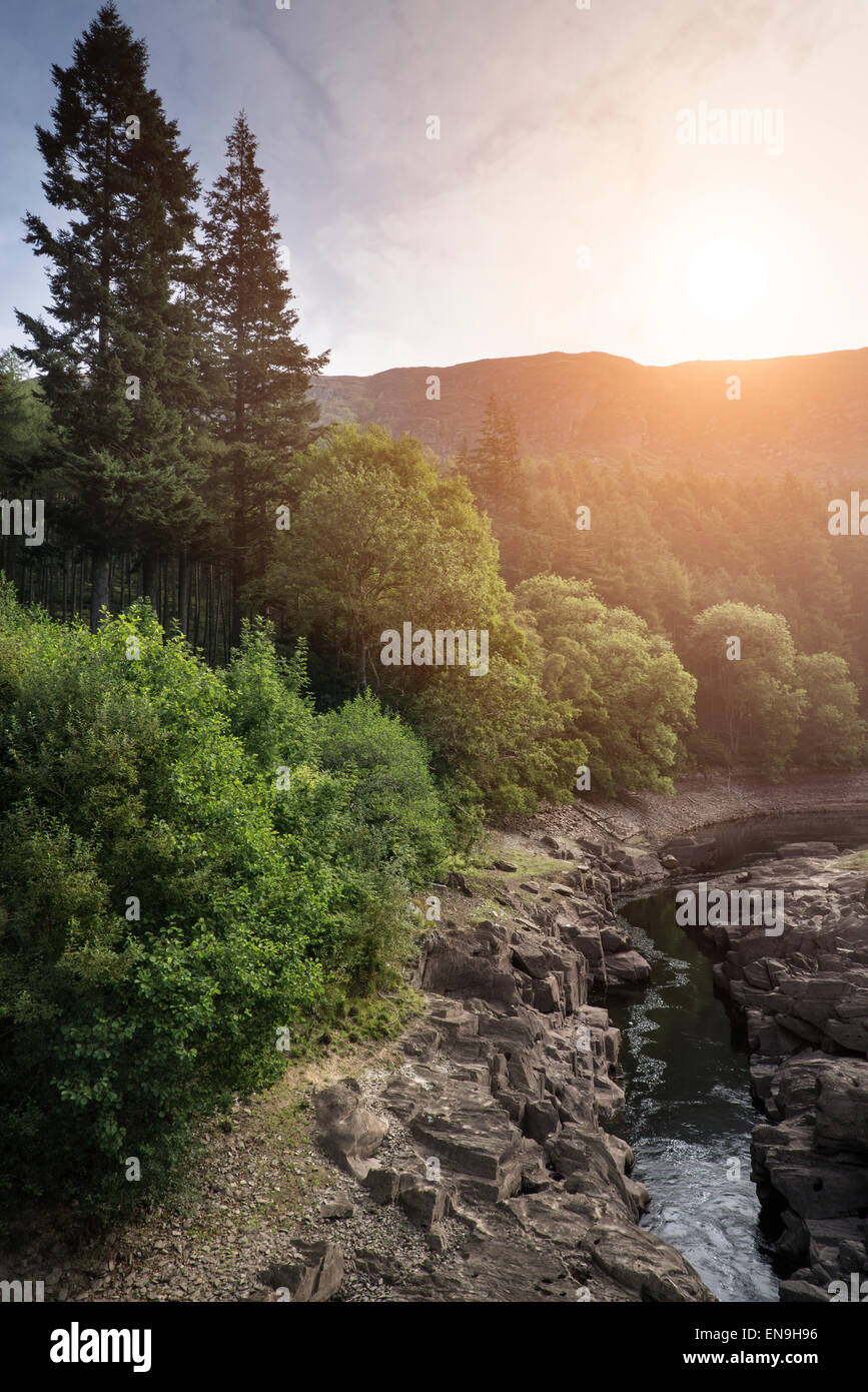 Beau matin image paysage de lumière du soleil à travers les arbres en dessous de canyon creek Banque D'Images
