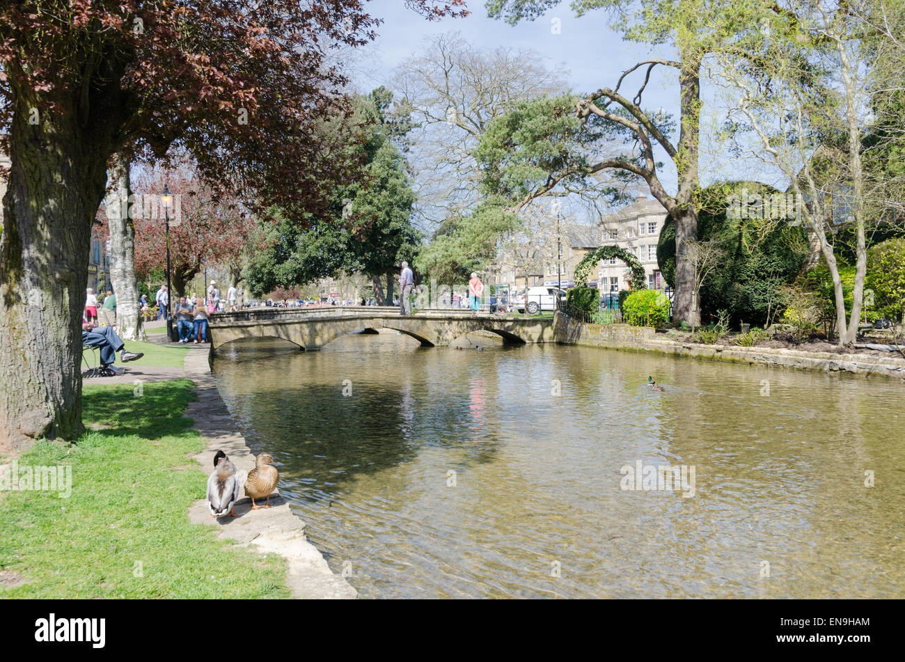 La rivière Windrush circulant dans le centre de Bourton-on-the-eau dans les Cotswolds Banque D'Images
