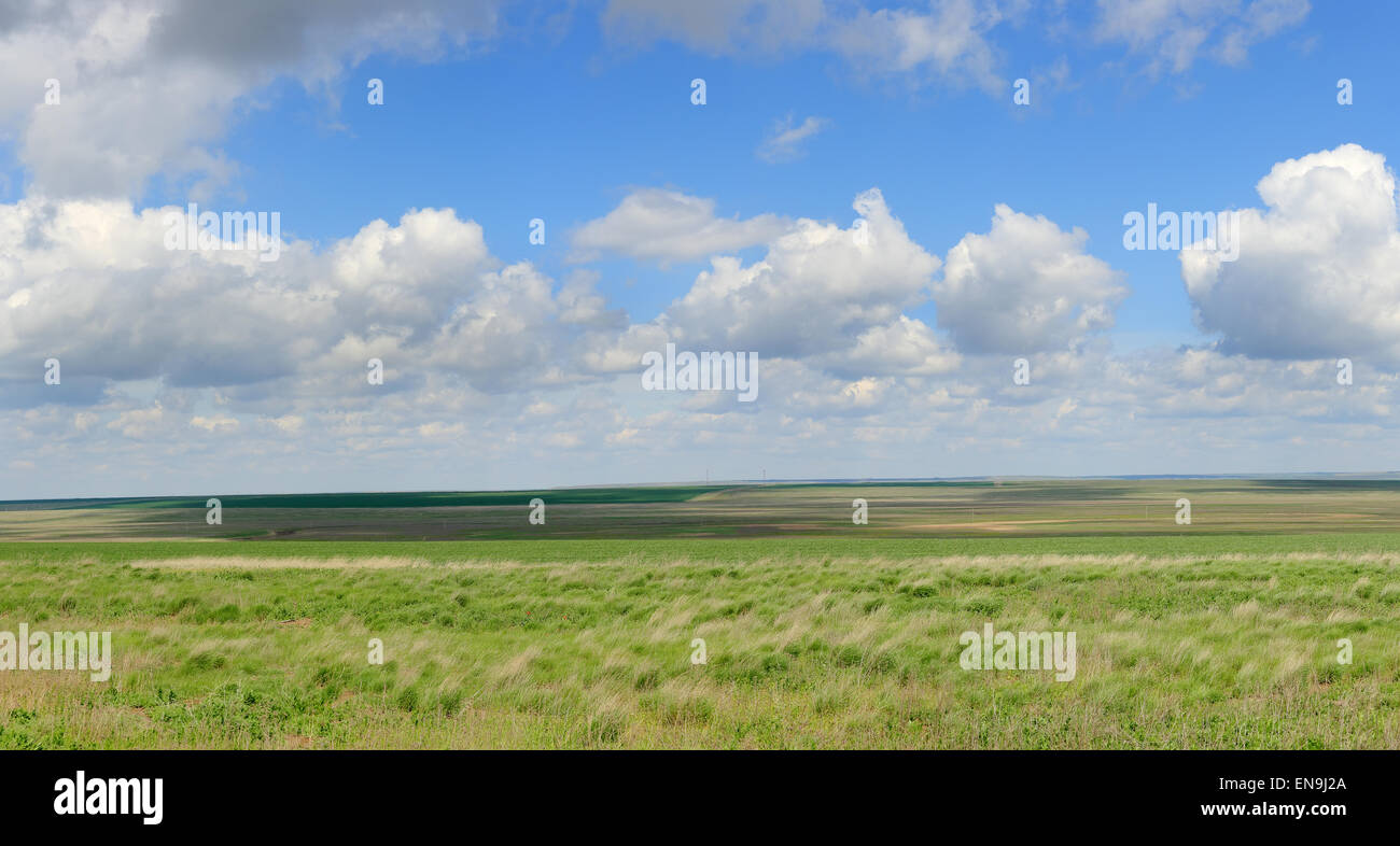 Mouvement des nuages dans la steppe, la région de Rostov, en Russie. Banque D'Images