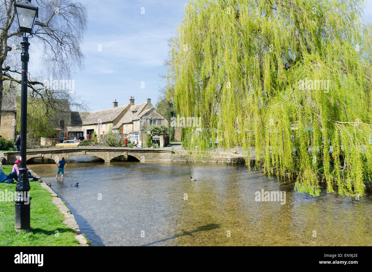 Un saule pleureur pend au-dessus de la rivière Windrush qui traverse le village de Cotswold Bourton On The Water Banque D'Images
