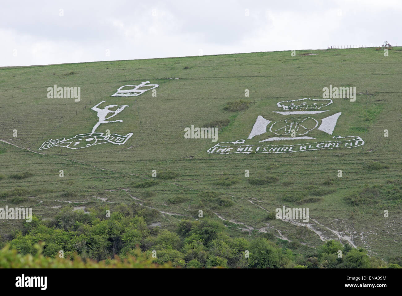 Royal Corps of Signals et Wiltshire Regiment fovant badges sur hillside Banque D'Images