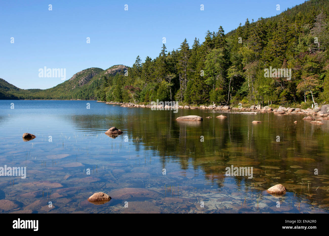 L'Acadia National Park, moi - septembre 8, 2014 : une ligne d'arbres se reflète dans les eaux claires de la Jordanie, de l'étang avec les bulles Banque D'Images