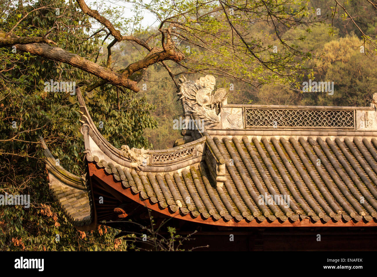 Le toit du temple chinois Banque D'Images
