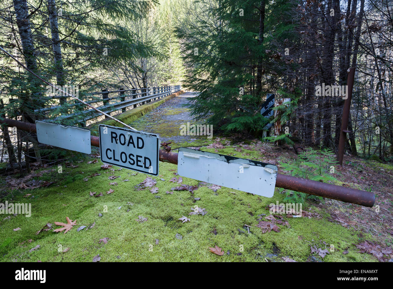 Le blocage de la porte du pont abandonné, forêt nationale de Willamette, Oregon. Banque D'Images