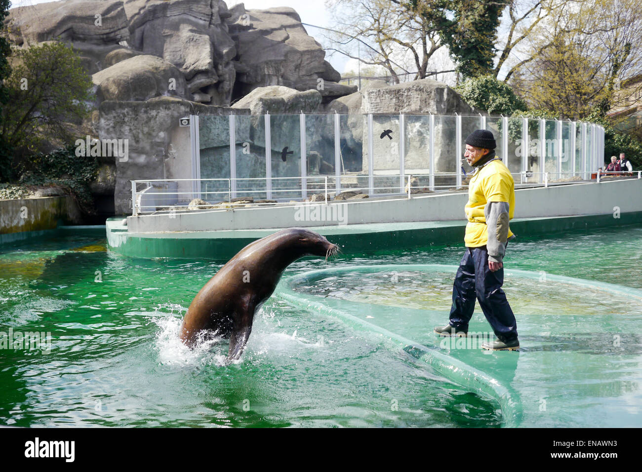 Le spectacle au Zoo de Budapest, Hongrie Banque D'Images