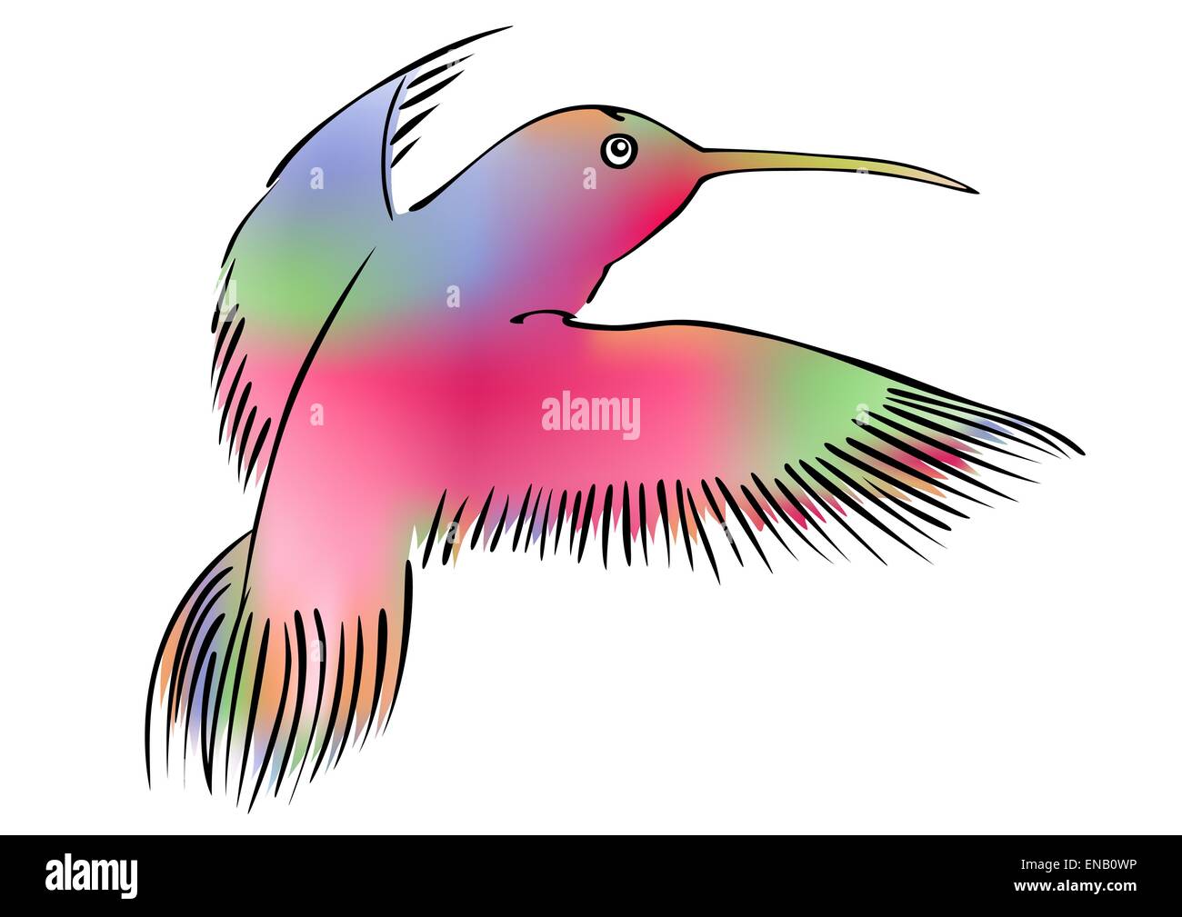 Illustration de la hummingbird - vector Illustration de Vecteur