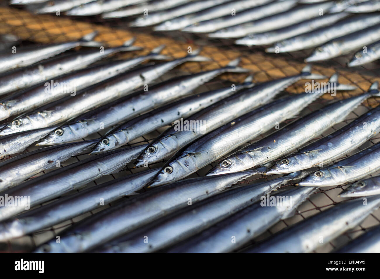 Le séchage du poisson sous le soleil dans un magasin à Ito, préfecture de Shizuoka, Japon Banque D'Images