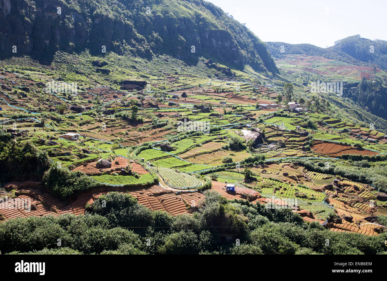 Vue paysage de vallée de la culture intensive et d'autre, Ramboda, près de Nuwara Eliya, Province du Centre, au Sri Lanka, en Asie Banque D'Images