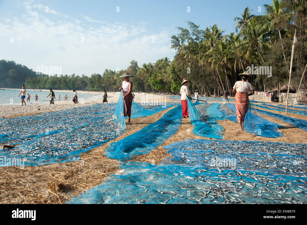 Les femmes de petits poissons secs sur le bleu des filets sur la plage de Ngapali en Birmanie Banque D'Images