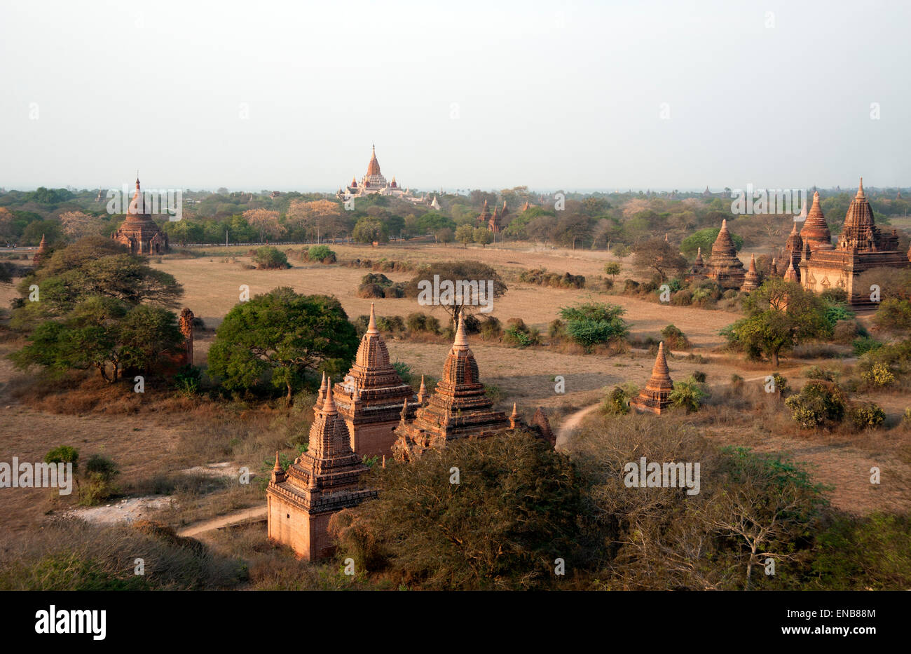 L'Ananda temple dans la distance avec temples plus petits à l'avant-plan au petit matin sur Bagan Myanmar Banque D'Images