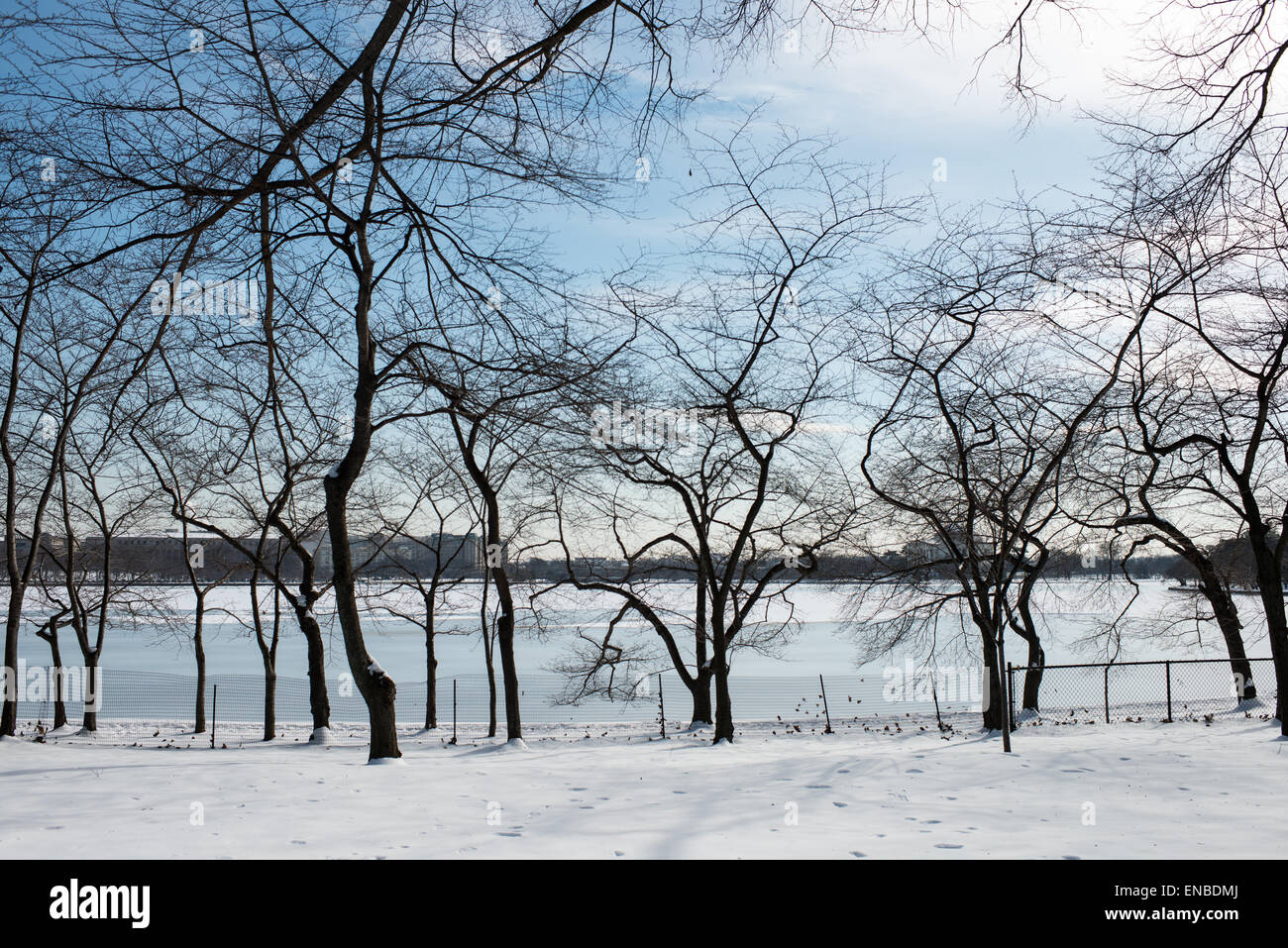 WASHINGTON DC, États-Unis — la neige recouvre les rives du Tidal Basin à Washington DC après une tempête de neige hivernale. Banque D'Images