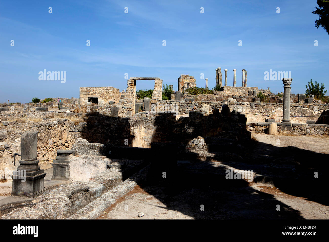 Volubilis, Ruines Romaines, Maroc Banque D'Images