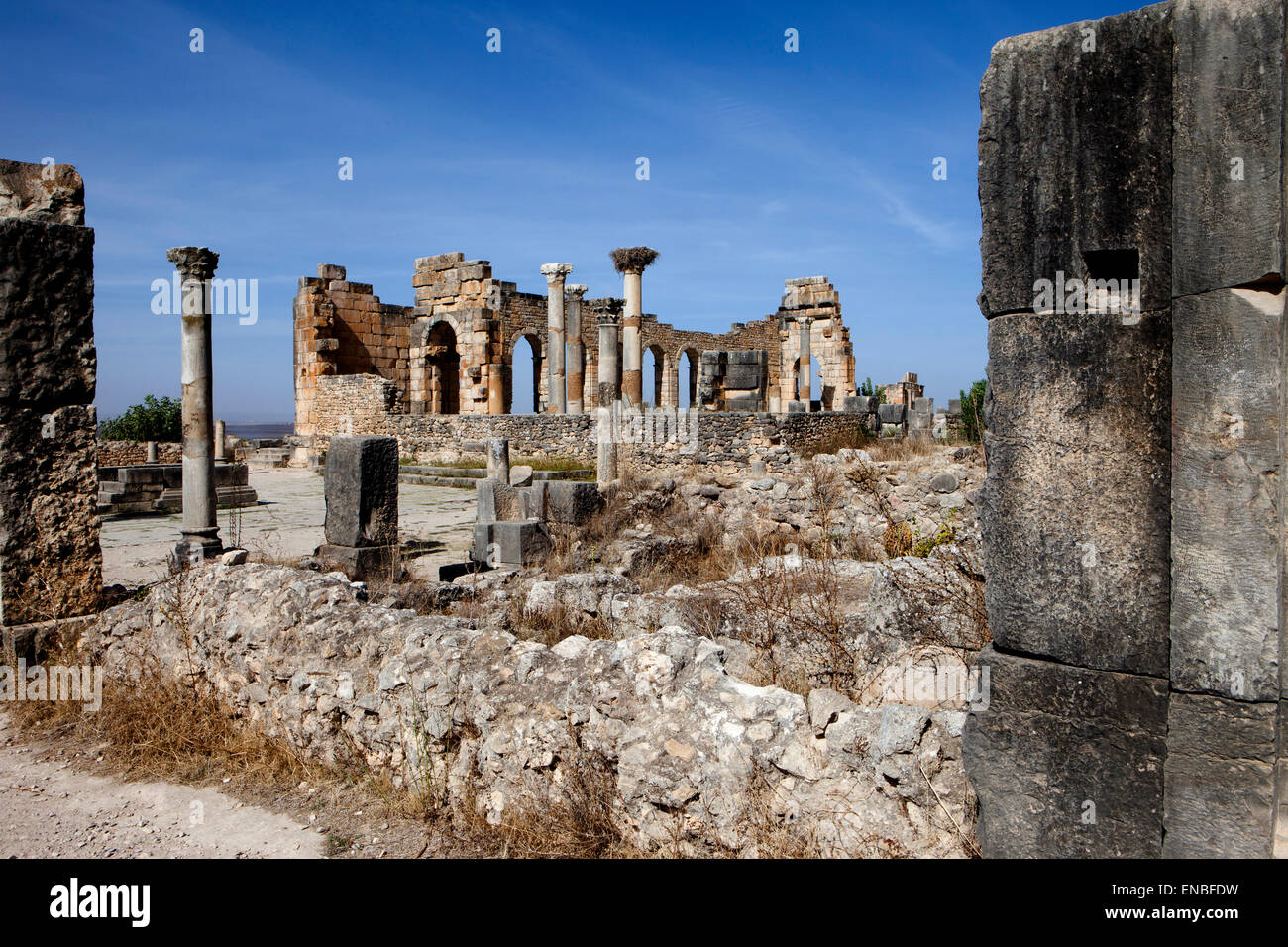 Volubilis, Ruines Romaines, Maroc Banque D'Images