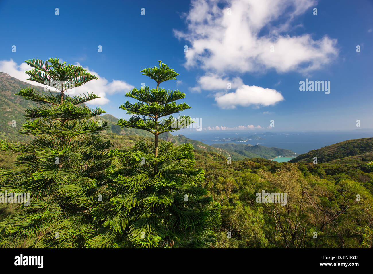 Les montagnes avec vue panoramique Océan Banque D'Images