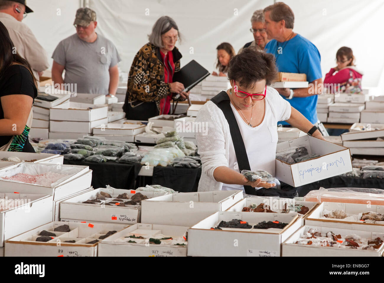 Denver, Colorado - Le Colorado Mineral and Fossil Show. Banque D'Images