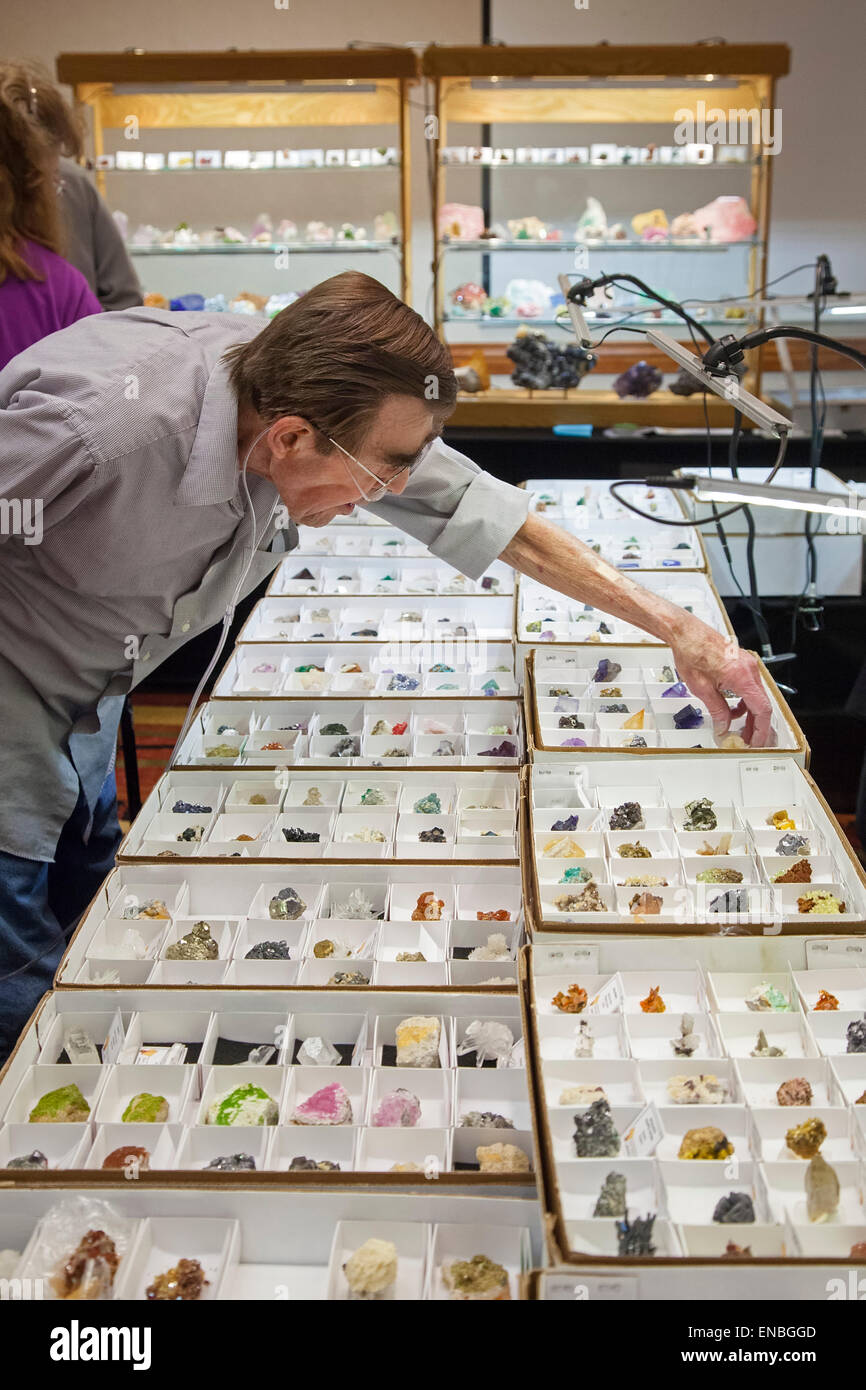 Denver, Colorado - Le Colorado Mineral and Fossil Show. Banque D'Images