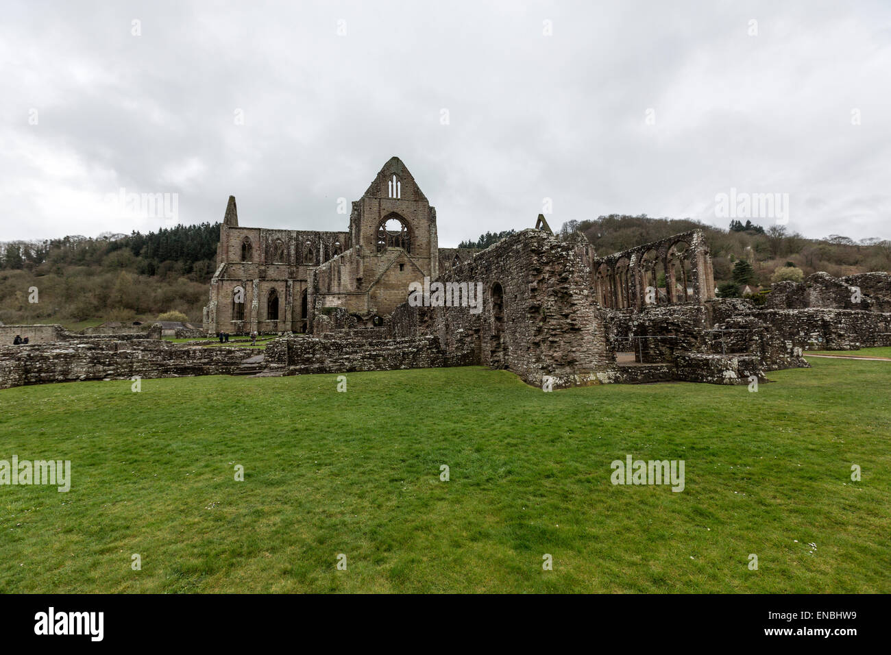 Abbaye de Tintern la deuxième fondation cistercienne en Grande-Bretagne Banque D'Images Abbaye de Tintern la deuxième fondation cistercienne en Grande-Bretagne Banque D'Images