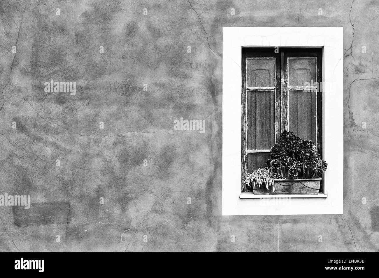 Fenêtre fermée avec un semoir noir et blanc Banque D'Images