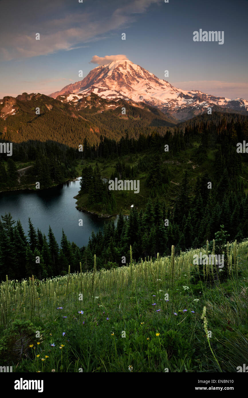 WA10550-00...WASHINGTON - Vue du Mont Rainier et Eunice Lac au coucher du soleil de Tolmie pic dans Mount Rainier National Park. Banque D'Images