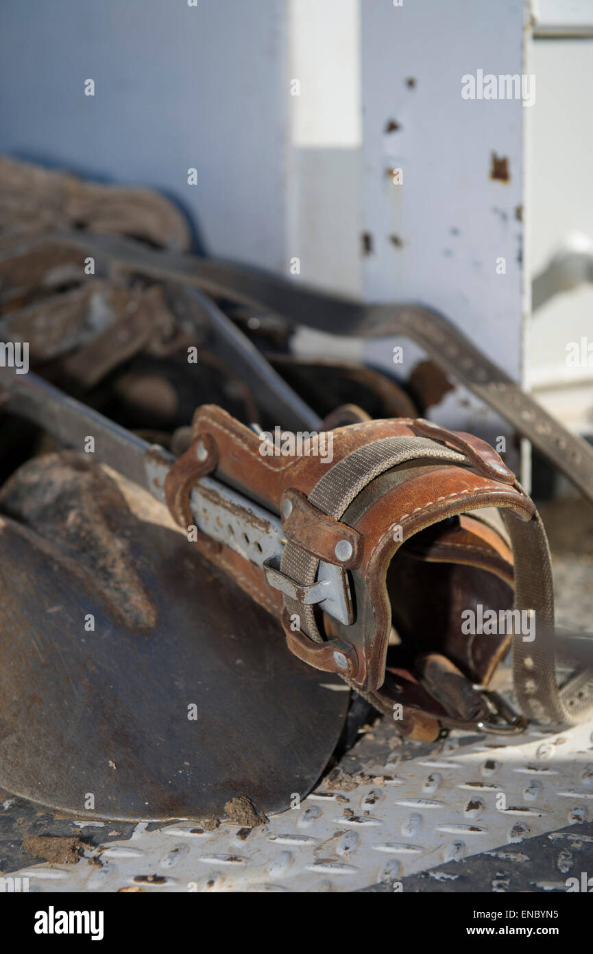 L'utilitaire électrique pour lignes électriques TCEC Tri-County Coop Banque D'Images