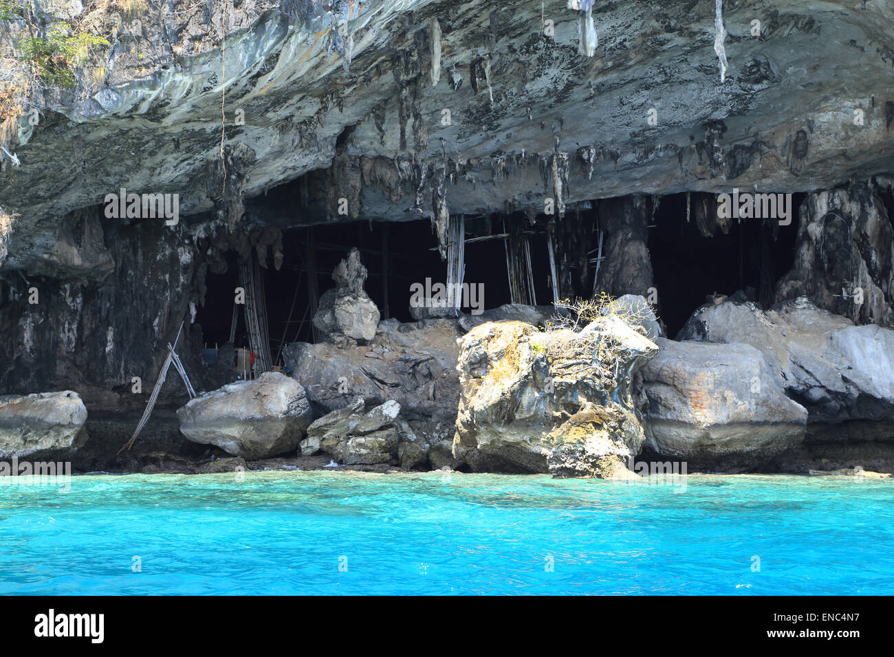 Viking cave où aucun nid d'sont recueillies. L'île de Phi-Phi Leh de Krabi, Thaïlande Banque D'Images