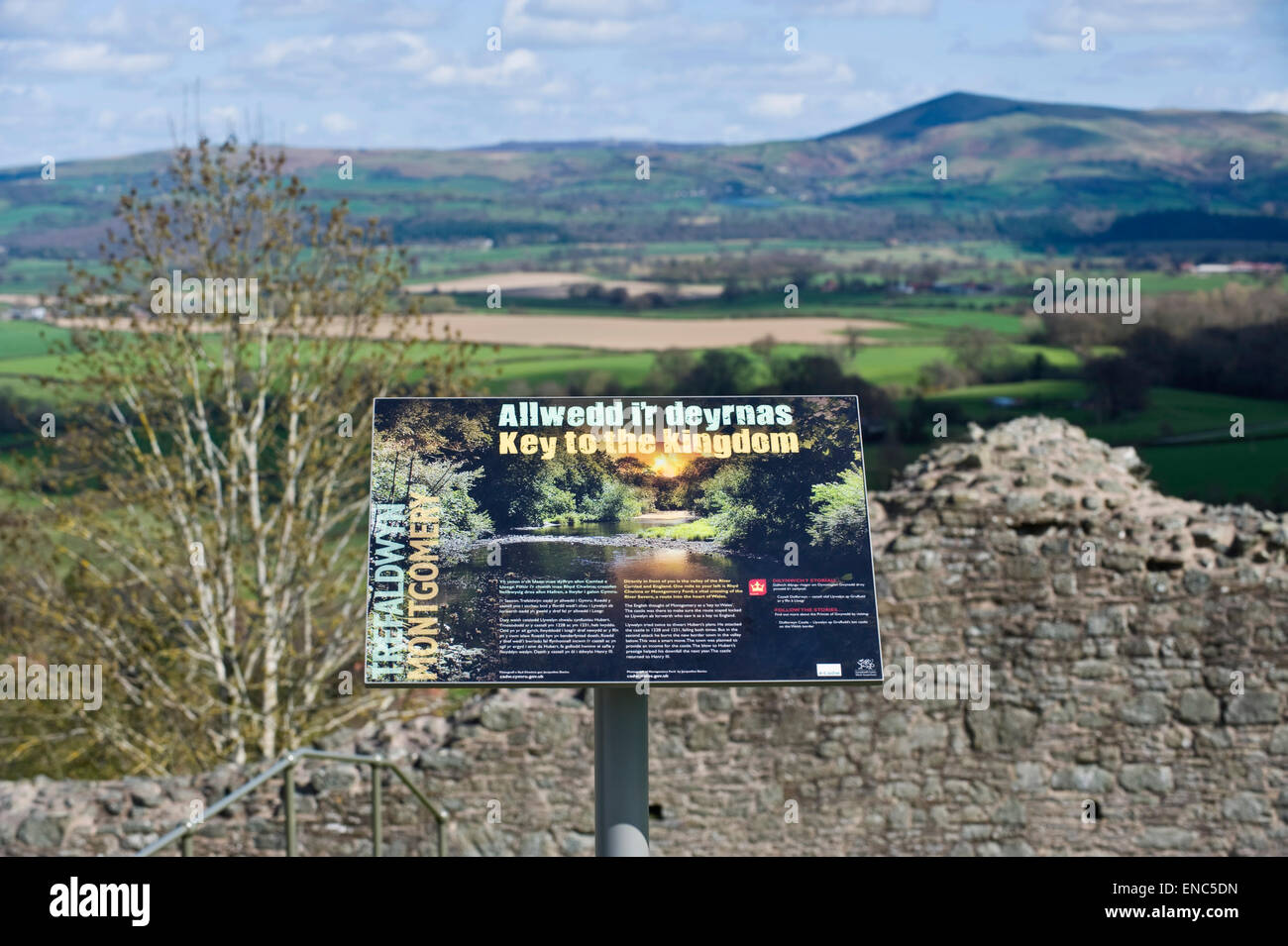 Information board au château dans la ville de Montgomery Powys Mid-Wales UK Banque D'Images