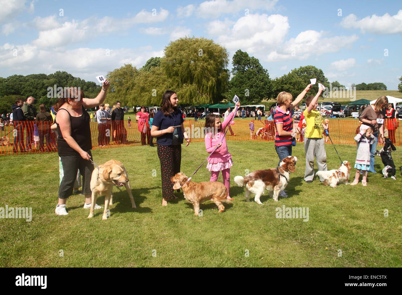 Pet dog show à été fête locale du village dans l'Essex, Angleterre Banque D'Images