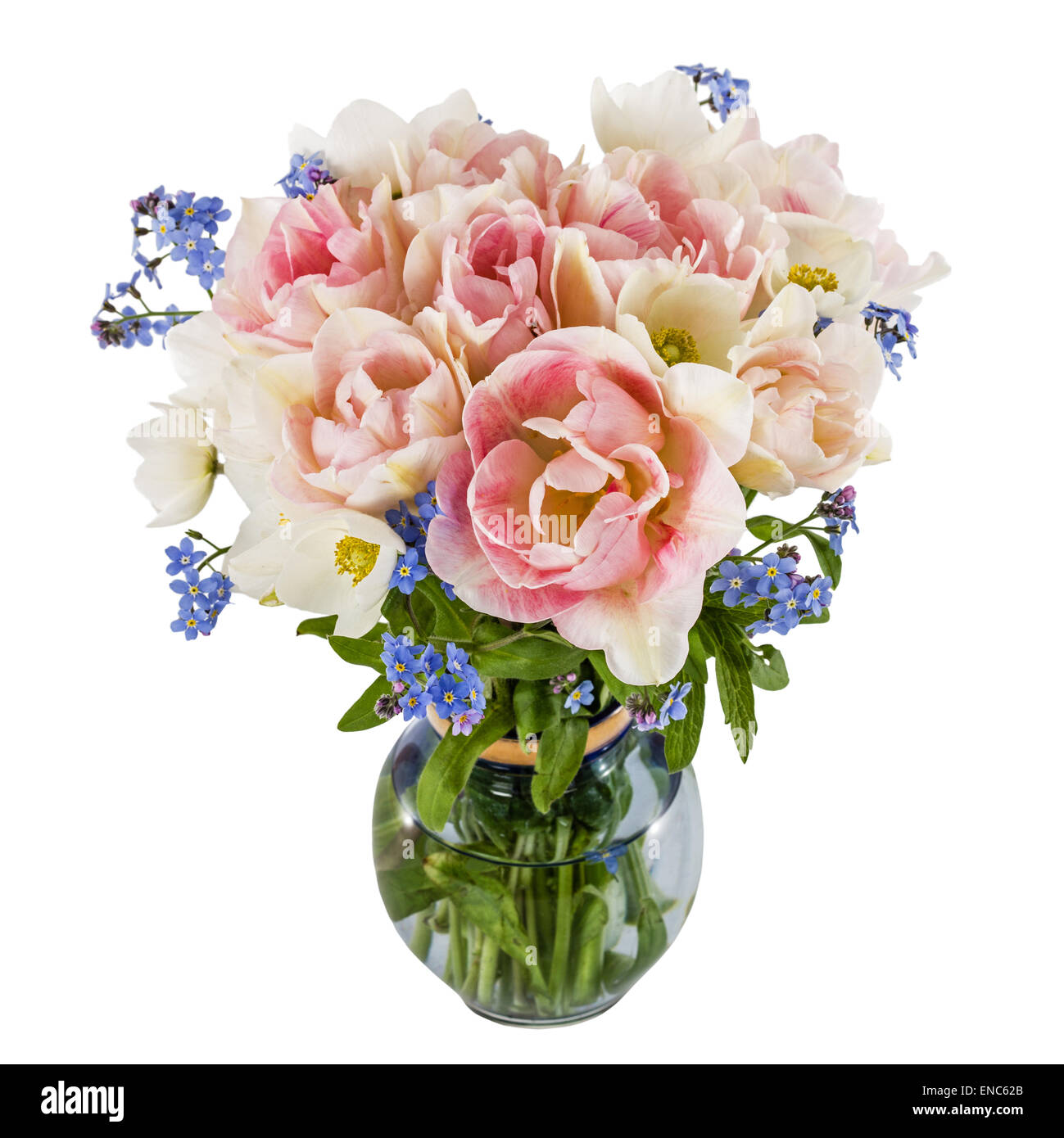 Bouquet de fleurs dans un vase, tulipes et forget-me-not, isolé sur fond blanc Banque D'Images