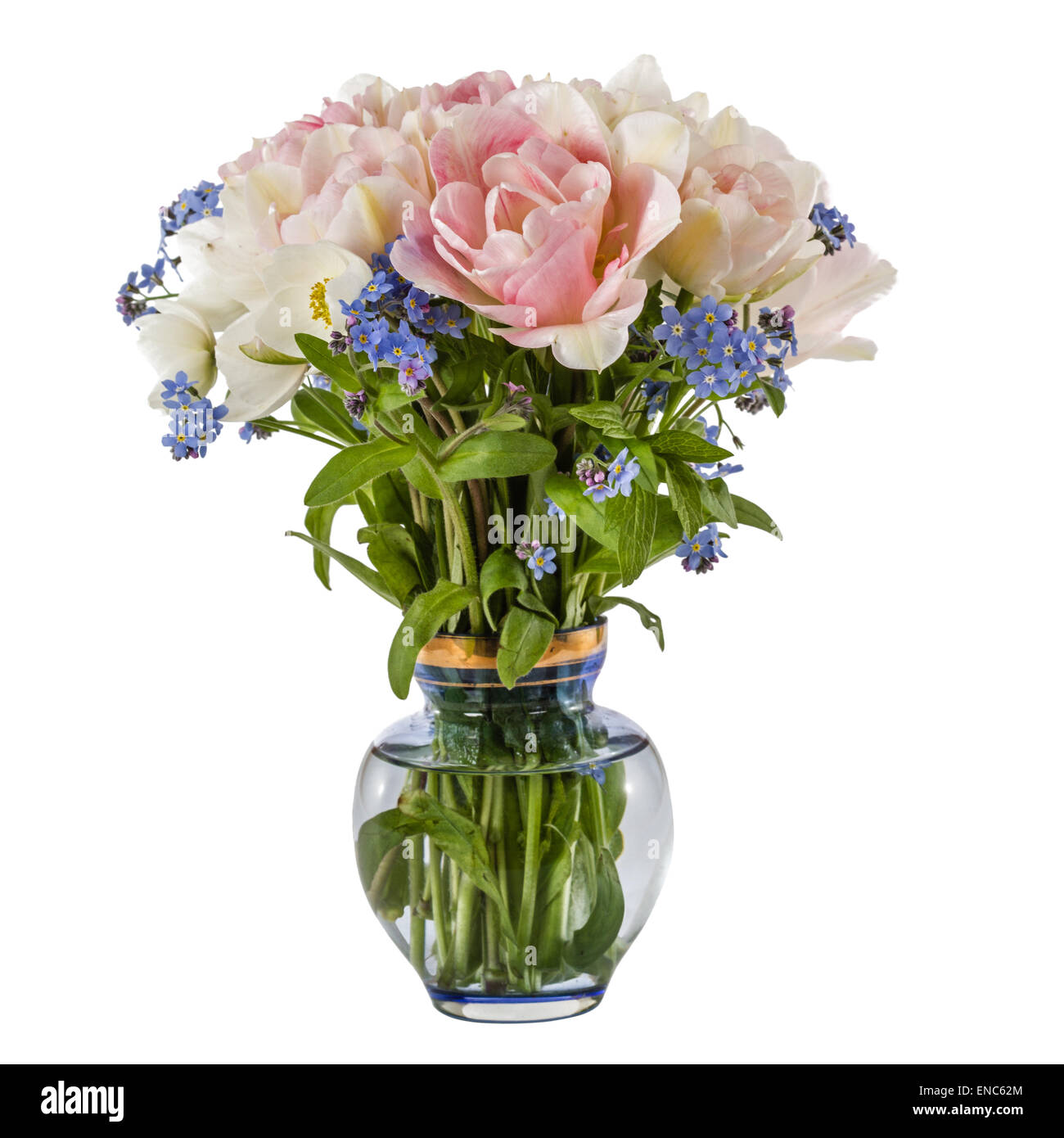 Bouquet de fleurs dans un vase, tulipes et forget-me-not, isolé sur fond blanc Banque D'Images