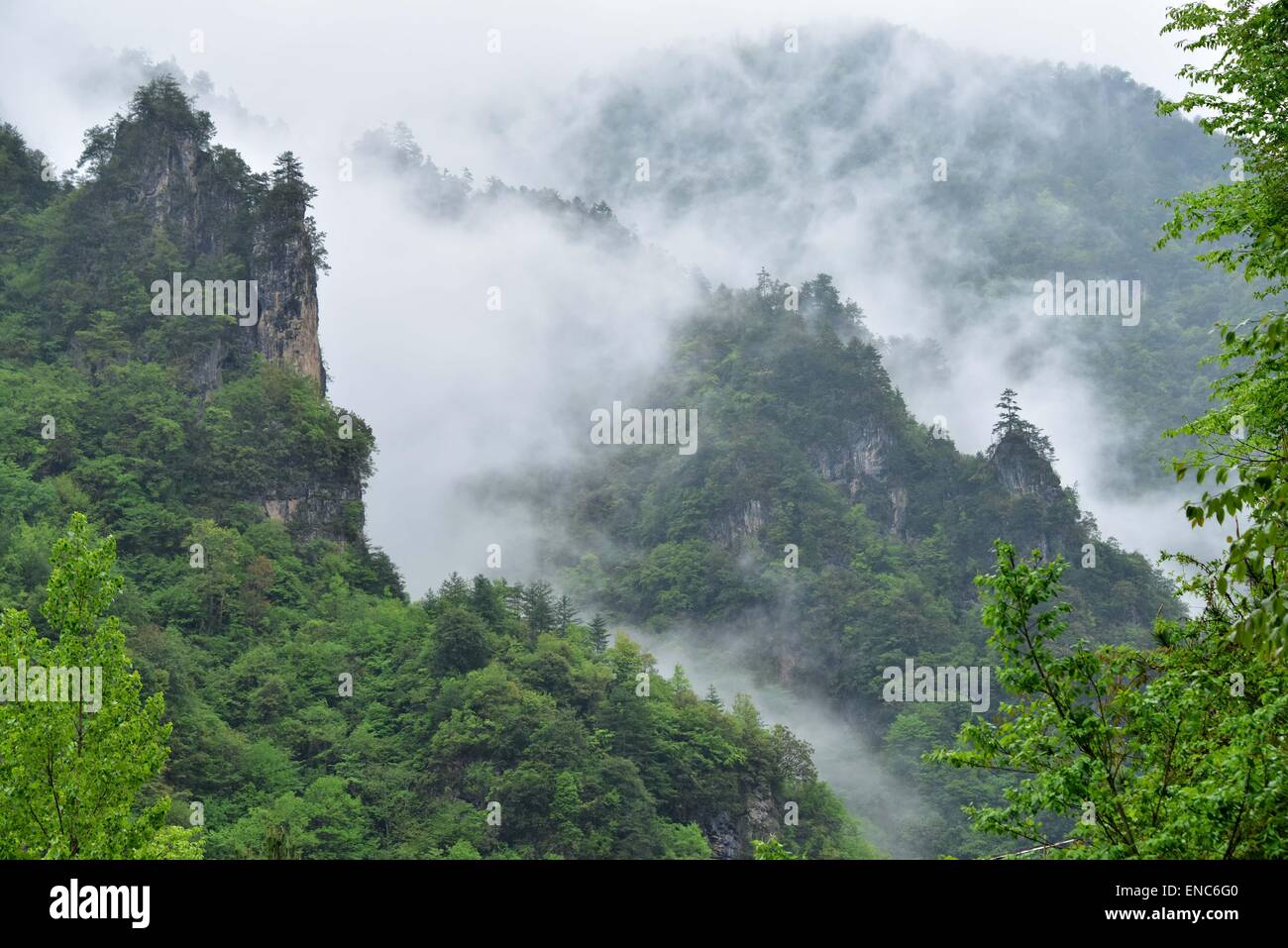 Shennongjia. 1er mai 2015. Photo prise le 1 mai 2015 affiche le décor du district forestier de Shennongjia de la province du Hubei en Chine centrale. Shennongjia est célèbre pour sa réserve naturelle nationale et les zones humides ainsi qu'une forte diversité végétale. Shennongding, avec une altitude de 3105.4 mètres, est le sommet le plus élevé dans le centre de la Chine. © Du Huaju/Xinhua/Alamy Live News Banque D'Images